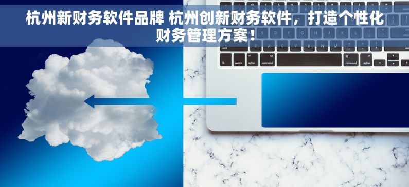 杭州新财务软件品牌 杭州创新财务软件，打造个性化财务管理方案！