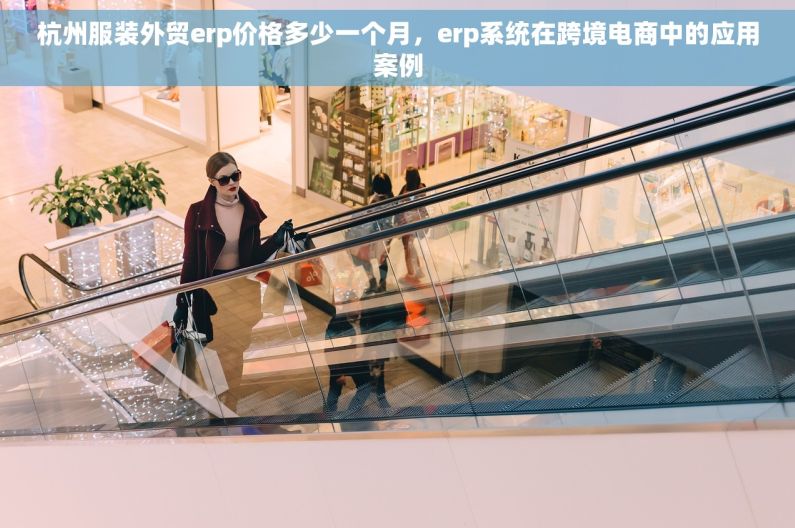 杭州服装外贸erp价格多少一个月，erp系统在跨境电商中的应用案例