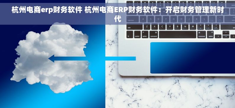 杭州电商erp财务软件 杭州电商ERP财务软件：开启财务管理新时代