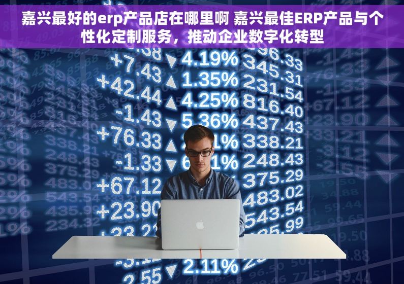 嘉兴最好的erp产品店在哪里啊 嘉兴最佳ERP产品与个性化定制服务，推动企业数字化转型