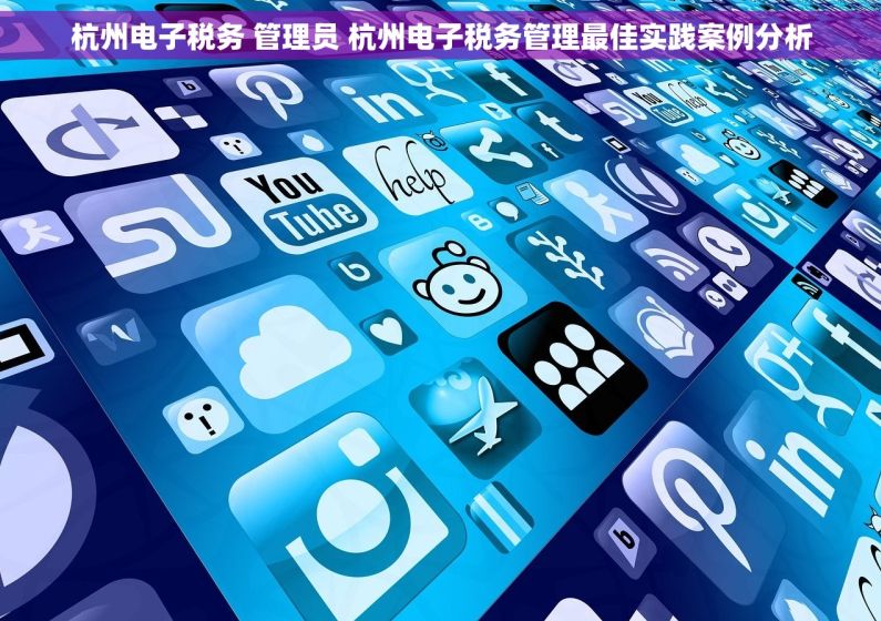 杭州电子税务 管理员 杭州电子税务管理最佳实践案例分析