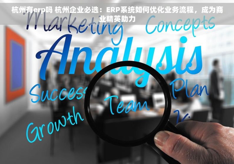 杭州有erp吗 杭州企业必选：ERP系统如何优化业务流程，成为商业精英助力