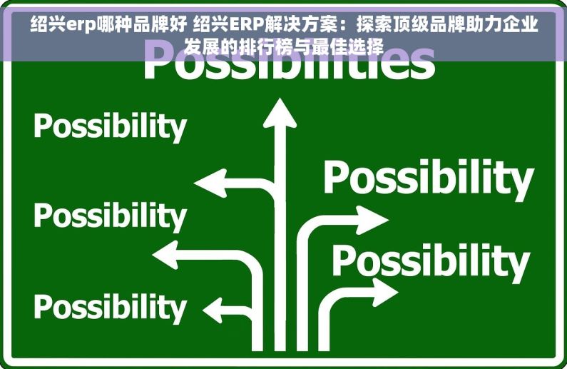 绍兴erp哪种品牌好 绍兴ERP解决方案：探索顶级品牌助力企业发展的排行榜与最佳选择