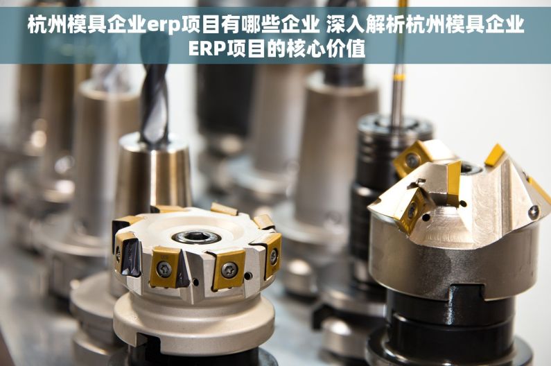 杭州模具企业erp项目有哪些企业 深入解析杭州模具企业ERP项目的核心价值
