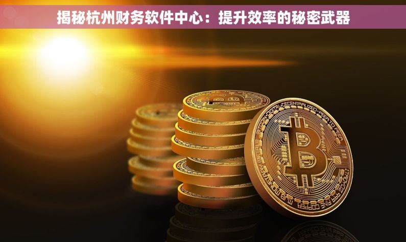 揭秘杭州财务软件中心：提升效率的秘密武器