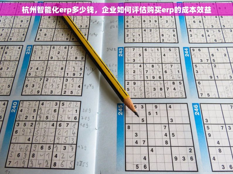 杭州智能化erp多少钱，企业如何评估购买erp的成本效益