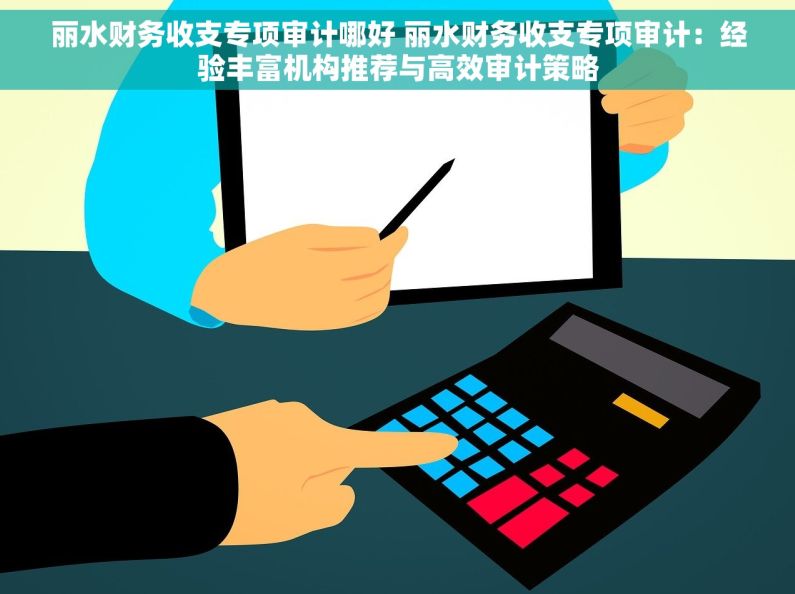 丽水财务收支专项审计哪好 丽水财务收支专项审计：经验丰富机构推荐与高效审计策略