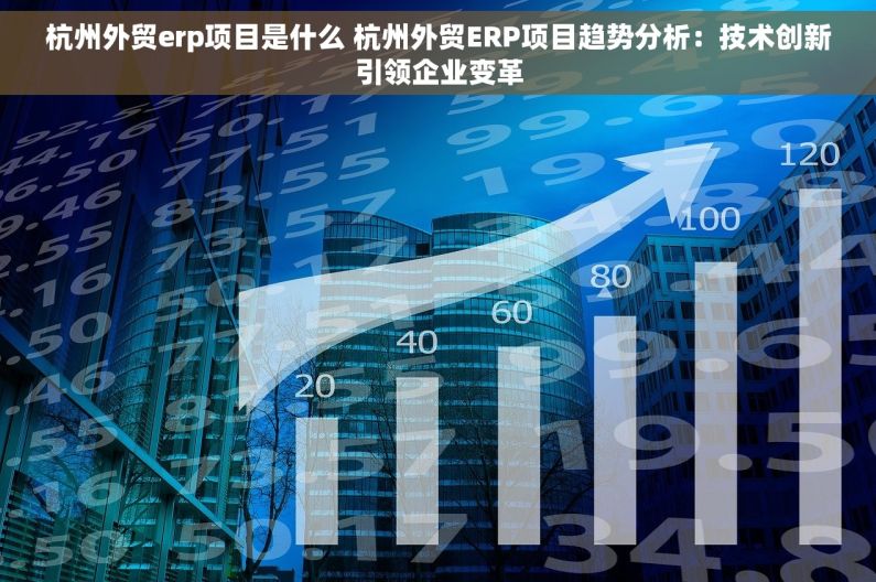 杭州外贸erp项目是什么 杭州外贸ERP项目趋势分析：技术创新引领企业变革