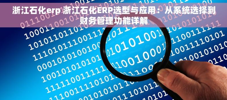 浙江石化erp 浙江石化ERP选型与应用：从系统选择到财务管理功能详解