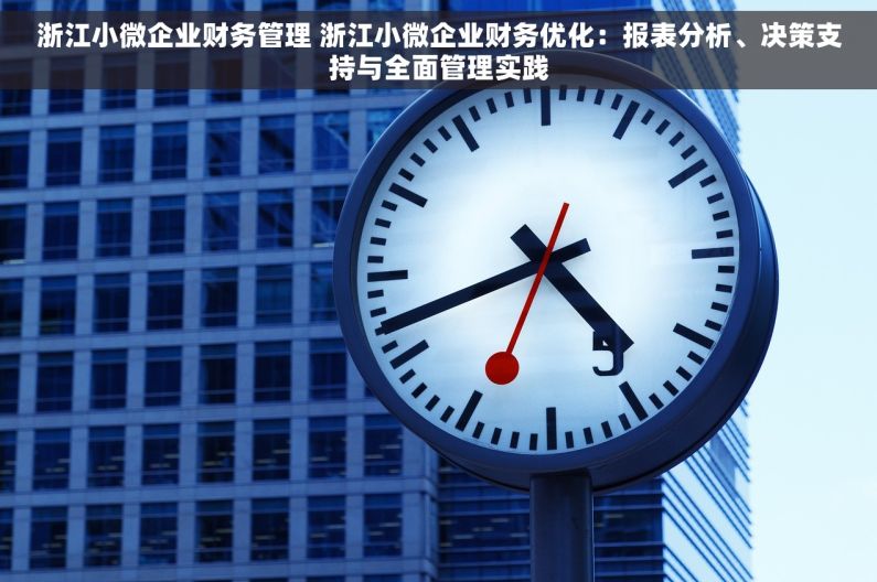 浙江小微企业财务管理 浙江小微企业财务优化：报表分析、决策支持与全面管理实践