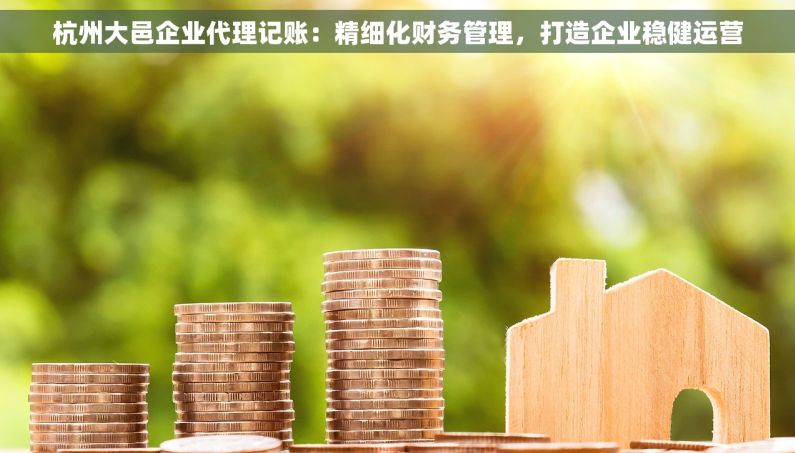 杭州大邑企业代理记账：精细化财务管理，打造企业稳健运营
