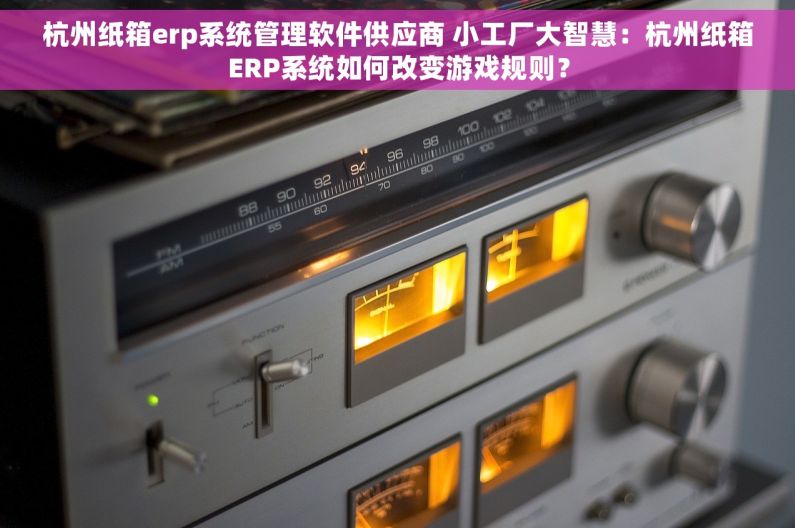 杭州纸箱erp系统管理软件供应商 小工厂大智慧：杭州纸箱ERP系统如何改变游戏规则？