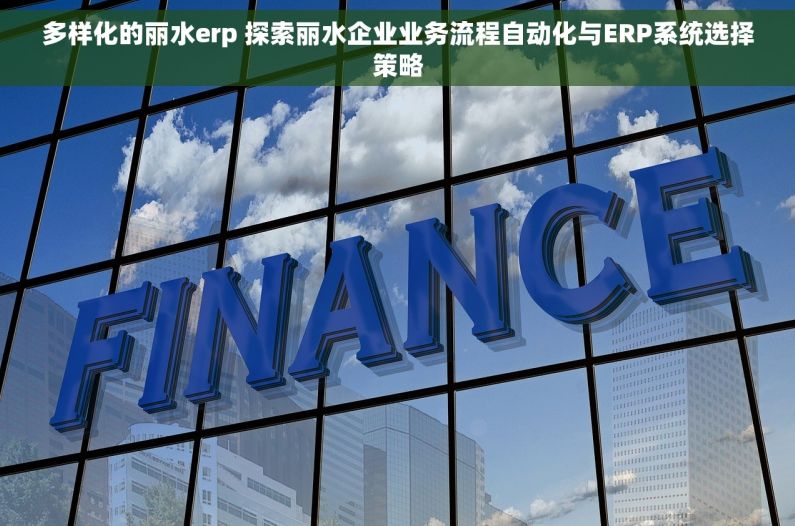 多样化的丽水erp 探索丽水企业业务流程自动化与ERP系统选择策略