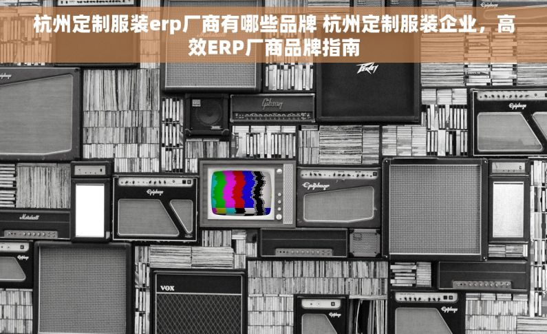 杭州定制服装erp厂商有哪些品牌 杭州定制服装企业，高效ERP厂商品牌指南