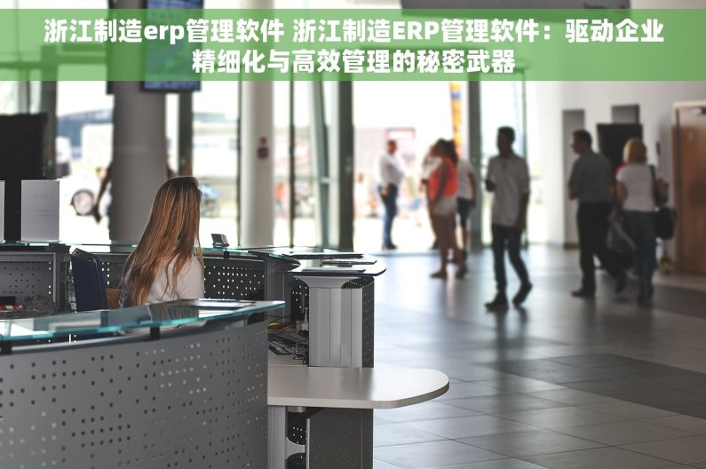 浙江制造erp管理软件 浙江制造ERP管理软件：驱动企业精细化与高效管理的秘密武器