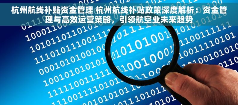 杭州航线补贴资金管理 杭州航线补贴政策深度解析：资金管理与高效运营策略，引领航空业未来趋势