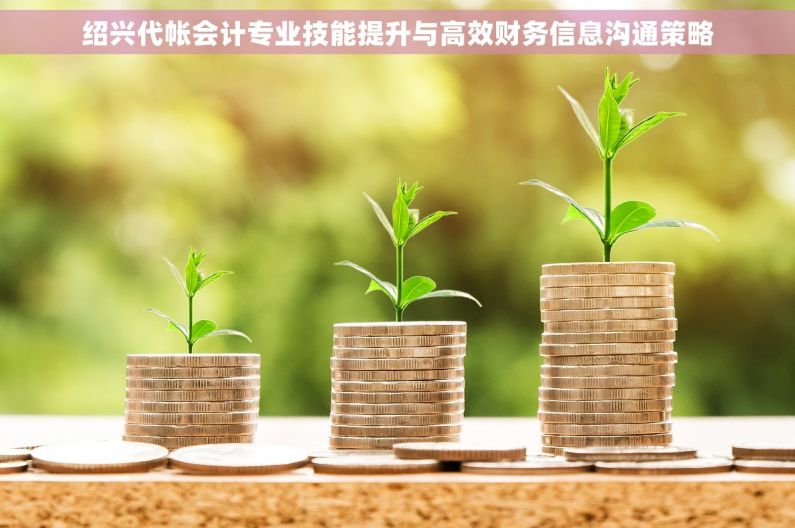 绍兴代帐会计专业技能提升与高效财务信息沟通策略