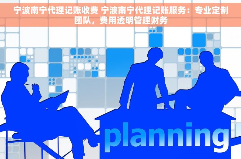 宁波南宁代理记账收费 宁波南宁代理记账服务：专业定制团队，费用透明管理财务