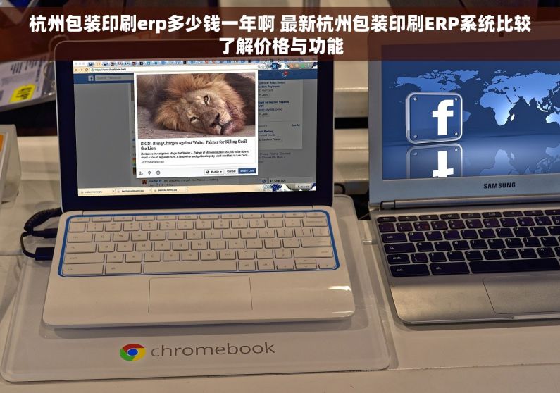 杭州包装印刷erp多少钱一年啊 最新杭州包装印刷ERP系统比较了解价格与功能