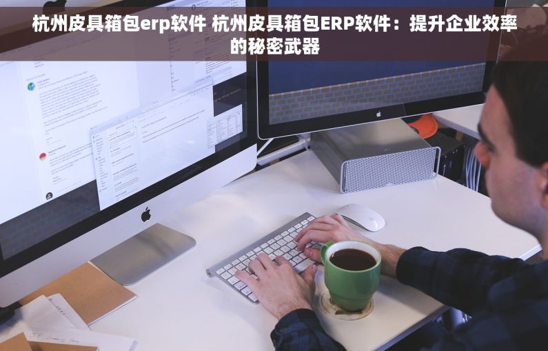 杭州皮具箱包erp软件 杭州皮具箱包ERP软件：提升企业效率的秘密武器
