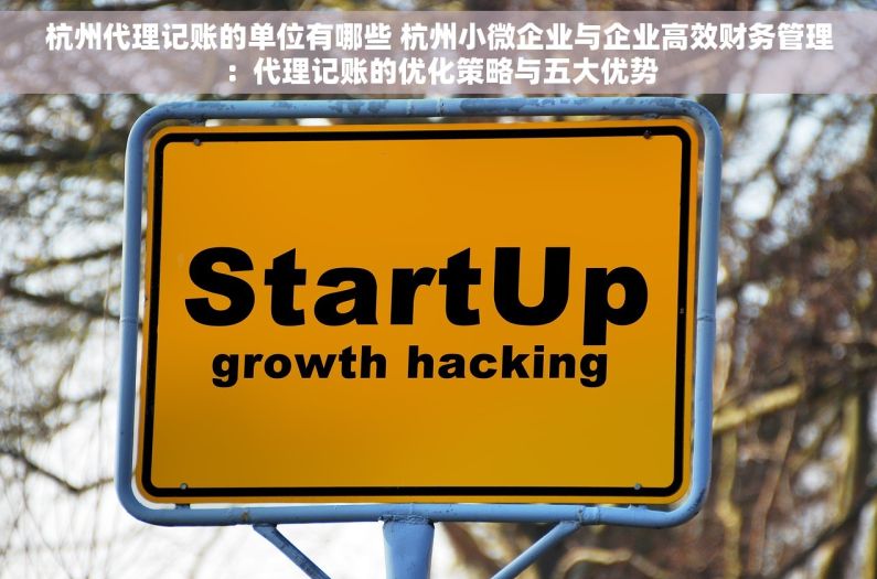 杭州代理记账的单位有哪些 杭州小微企业与企业高效财务管理：代理记账的优化策略与五大优势