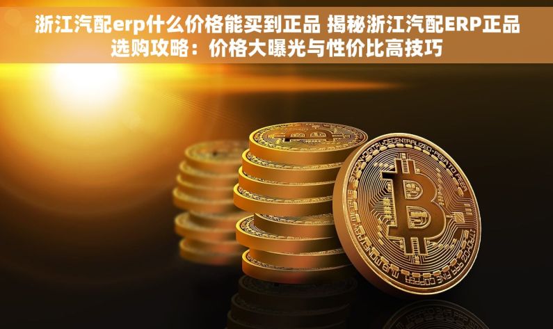 浙江汽配erp什么价格能买到正品 揭秘浙江汽配ERP正品选购攻略：价格大曝光与性价比高技巧