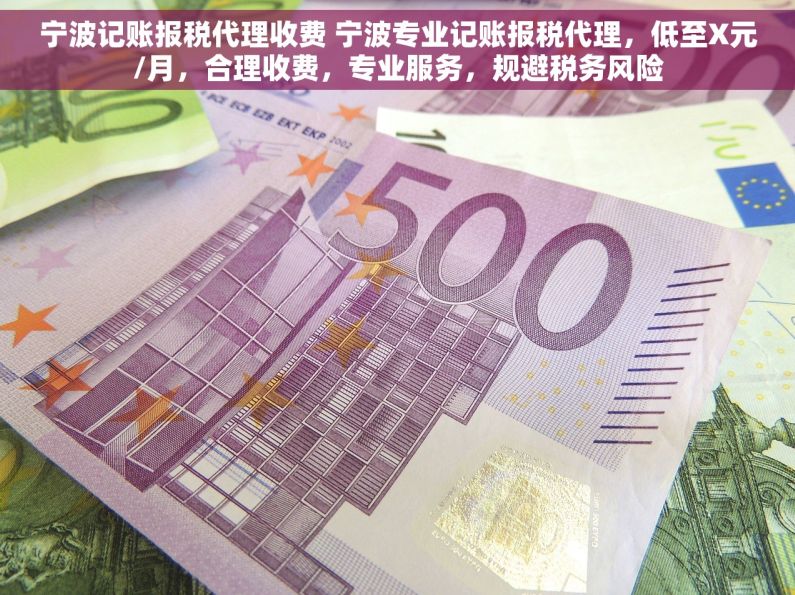 宁波记账报税代理收费 宁波专业记账报税代理，低至X元/月，合理收费，专业服务，规避税务风险