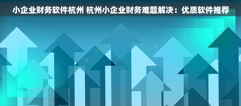 小企业财务软件杭州 杭州小企业财务难题解决：优质软件推荐