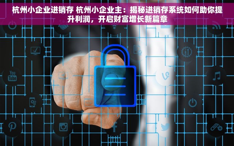 杭州小企业进销存 杭州小企业主：揭秘进销存系统如何助你提升利润，开启财富增长新篇章