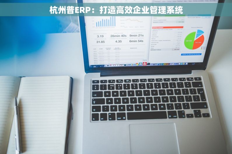 杭州普ERP：打造高效企业管理系统
