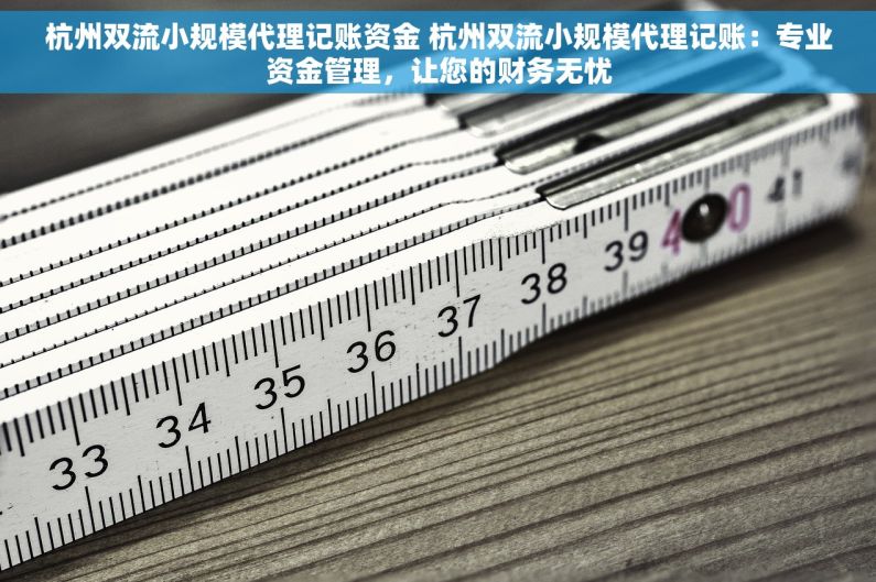 杭州双流小规模代理记账资金 杭州双流小规模代理记账：专业资金管理，让您的财务无忧