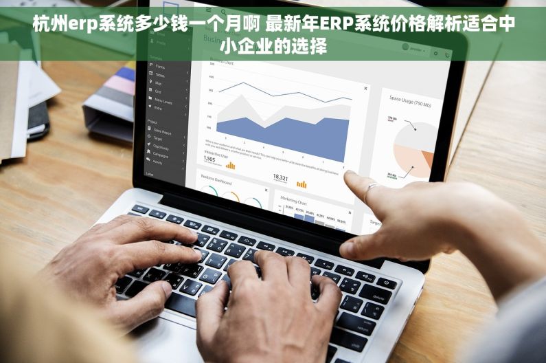 杭州erp系统多少钱一个月啊 最新年ERP系统价格解析适合中小企业的选择