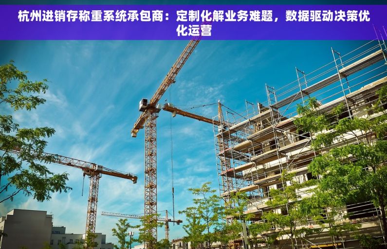 杭州进销存称重系统承包商：定制化解业务难题，数据驱动决策优化运营