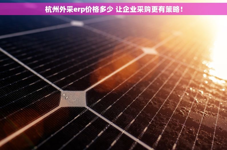杭州外采erp价格多少 让企业采购更有策略！