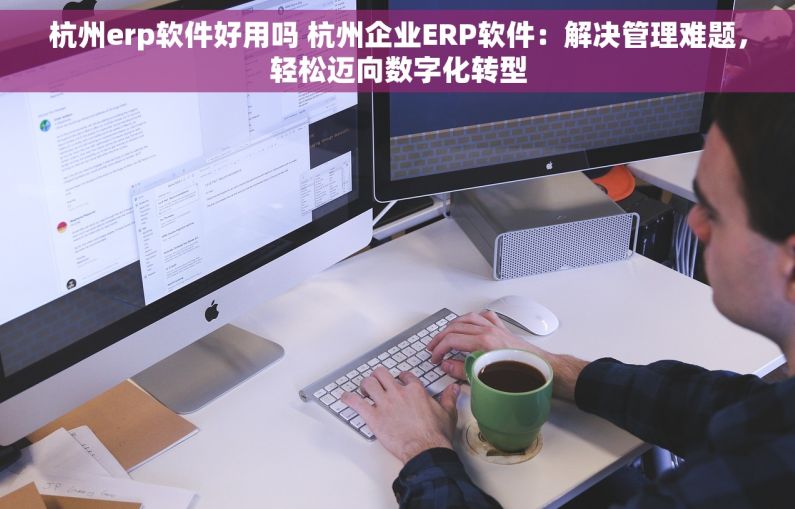 杭州erp软件好用吗 杭州企业ERP软件：解决管理难题，轻松迈向数字化转型