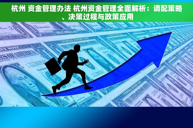 杭州 资金管理办法 杭州资金管理全面解析：调配策略、决策过程与政策应用