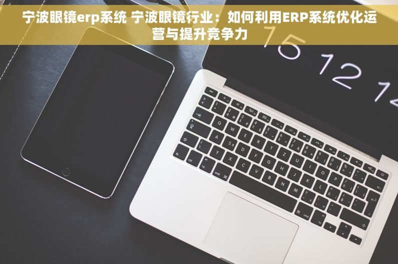 宁波眼镜erp系统 宁波眼镜行业：如何利用ERP系统优化运营与提升竞争力