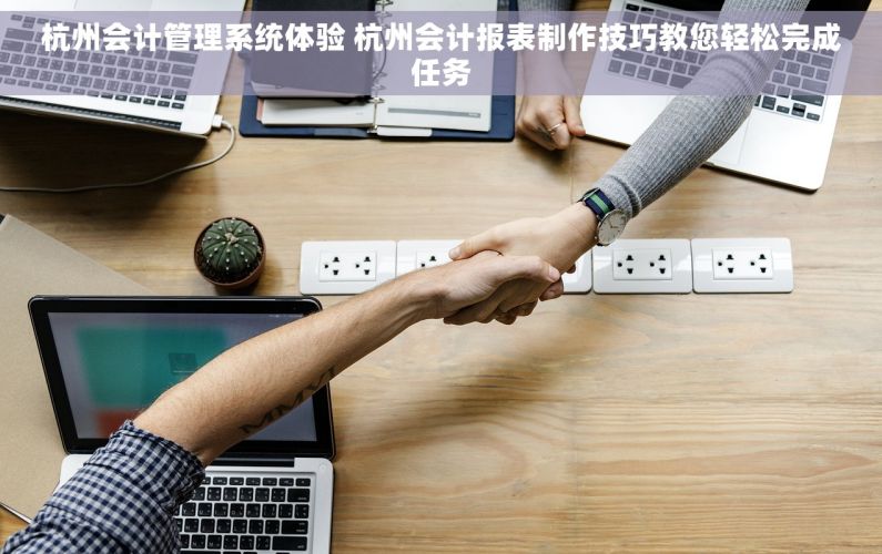 杭州会计管理系统体验 杭州会计报表制作技巧教您轻松完成任务