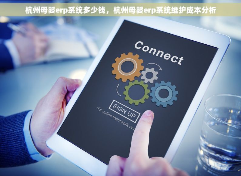 杭州母婴erp系统多少钱，杭州母婴erp系统维护成本分析