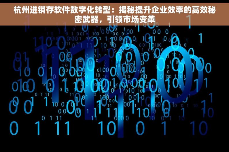 杭州进销存软件数字化转型：揭秘提升企业效率的高效秘密武器，引领市场变革