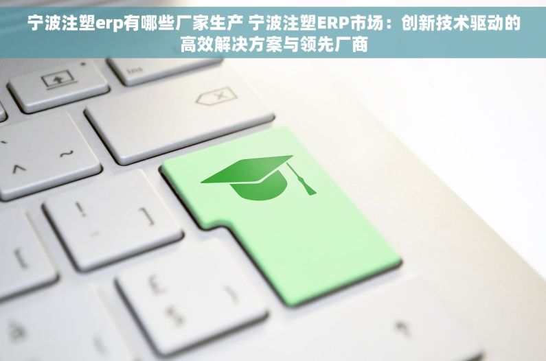 宁波注塑erp有哪些厂家生产 宁波注塑ERP市场：创新技术驱动的高效解决方案与领先厂商