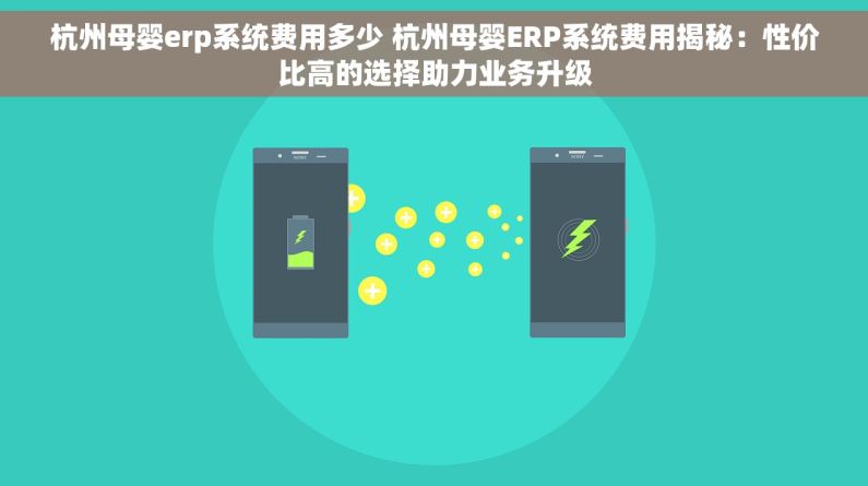 杭州母婴erp系统费用多少 杭州母婴ERP系统费用揭秘：性价比高的选择助力业务升级