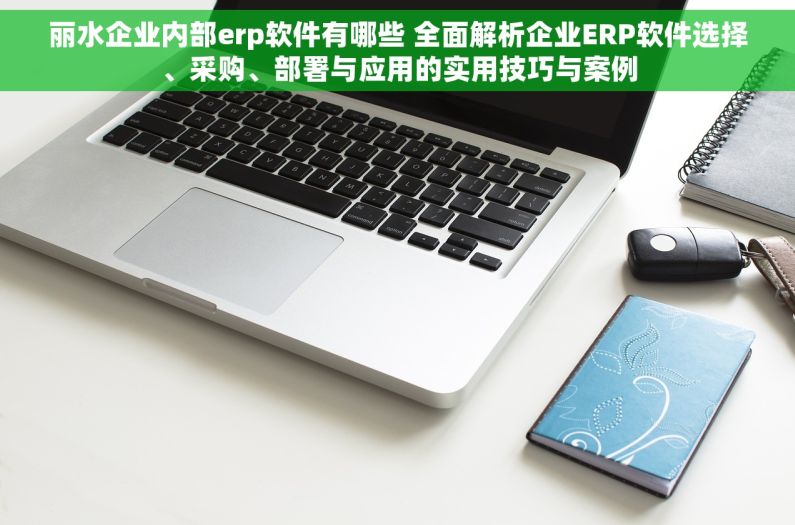 丽水企业内部erp软件有哪些 全面解析企业ERP软件选择、采购、部署与应用的实用技巧与案例