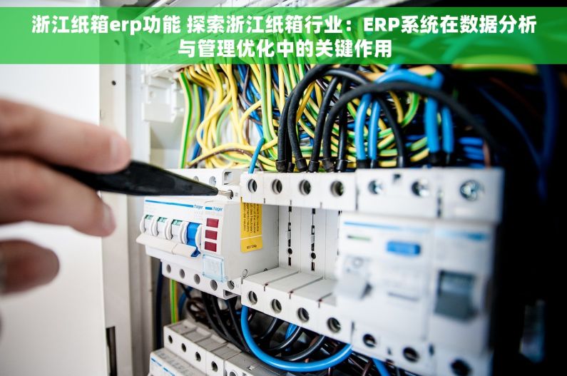 浙江纸箱erp功能 探索浙江纸箱行业：ERP系统在数据分析与管理优化中的关键作用
