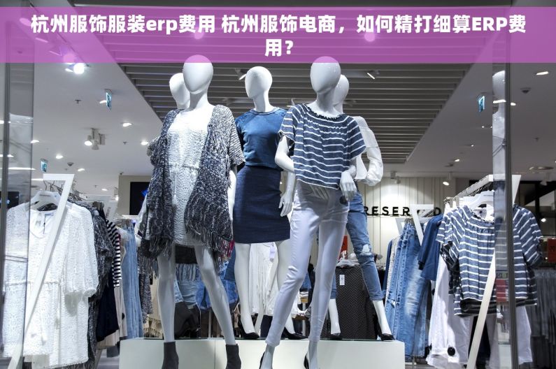 杭州服饰服装erp费用 杭州服饰电商，如何精打细算ERP费用？