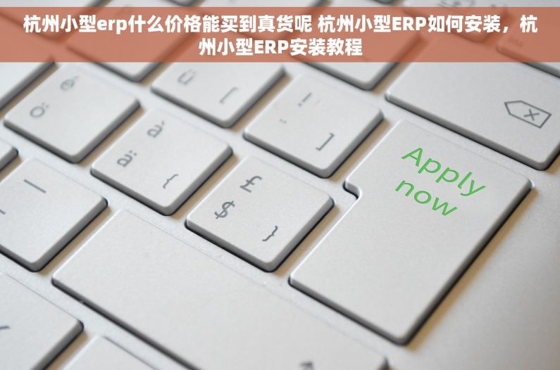 杭州小型erp什么价格能买到真货呢 杭州小型ERP如何安装，杭州小型ERP安装教程