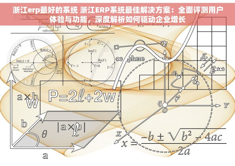 浙江erp最好的系统 浙江ERP系统最佳解决方案：全面评测用户体验与功能，深度解析如何驱动企业增长
