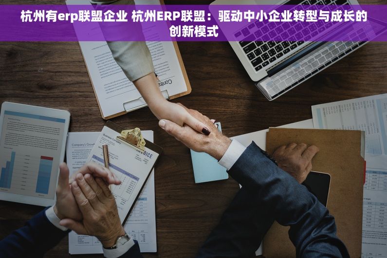 杭州有erp联盟企业 杭州ERP联盟：驱动中小企业转型与成长的创新模式