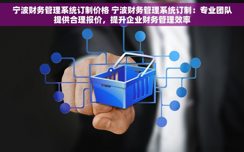 宁波财务管理系统订制价格 宁波财务管理系统订制：专业团队提供合理报价，提升企业财务管理效率