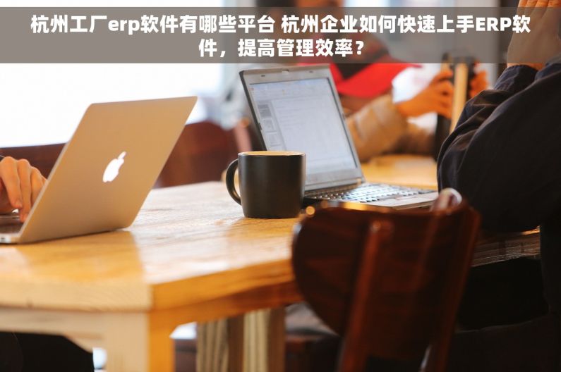杭州工厂erp软件有哪些平台 杭州企业如何快速上手ERP软件，提高管理效率？